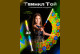 Развивающая игрушка Твинкл Той 32